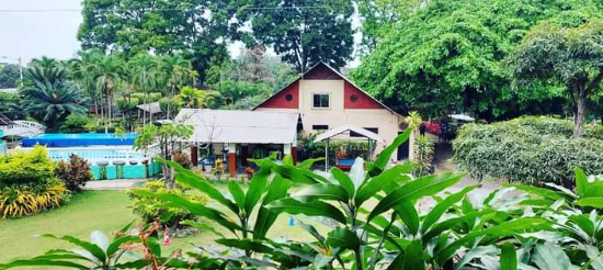 Quinta forestal "El Bosque"